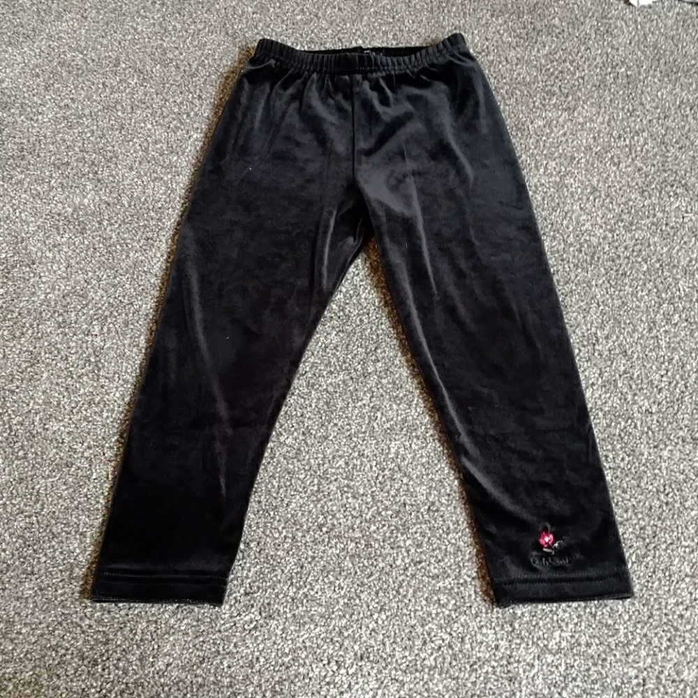 Velvet Pants